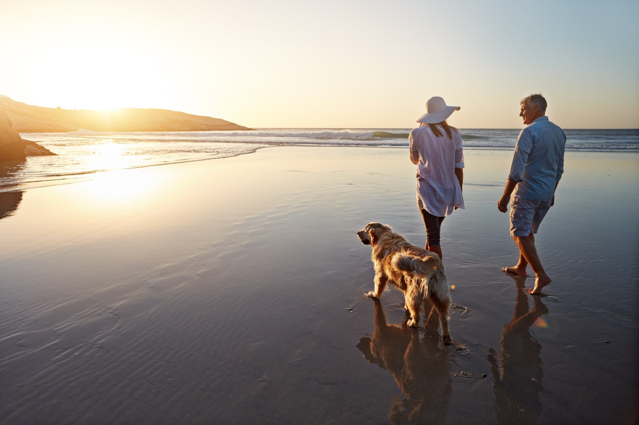 Eine Frau und ein Mann gehen bei Sonnenuntergang mit ihrem Hund am Strand im seichten Wasser spazieren