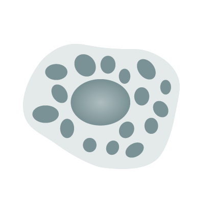 Mastzellen