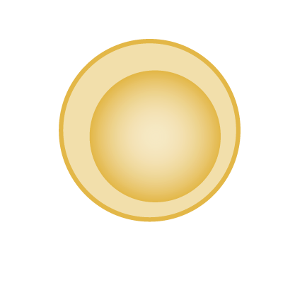 T-Lymphozyten